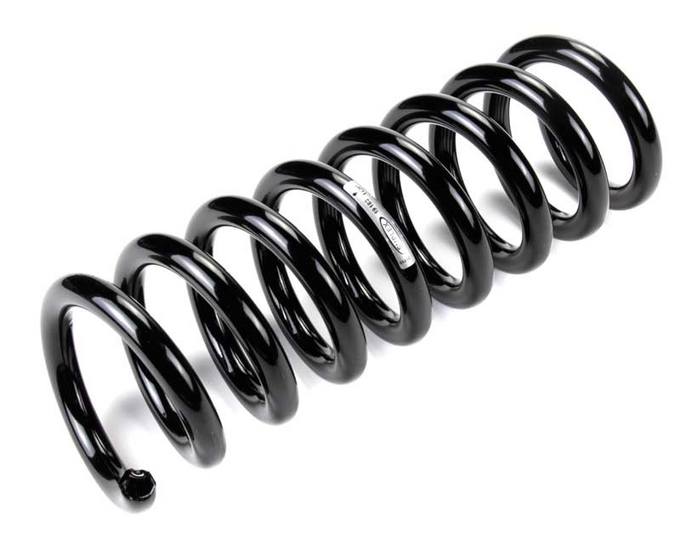 Mercedes Coil Spring - Rear 2033240504